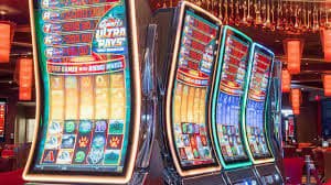 Pengalaman bermain bingo online lewat perangkat mobile dengan layanan singa77